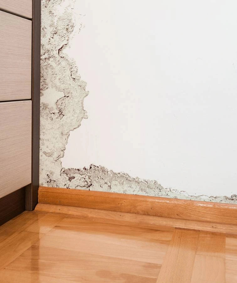 Damp due to poor plastering on the walls