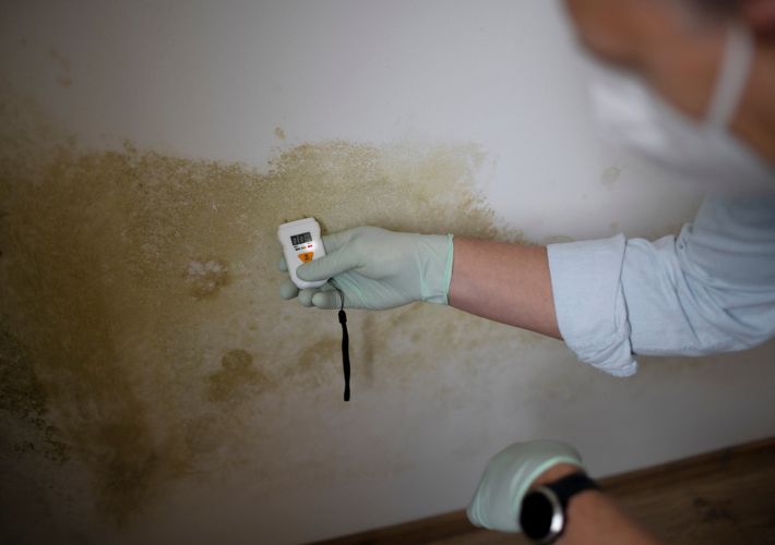 Importance of damp treatment
